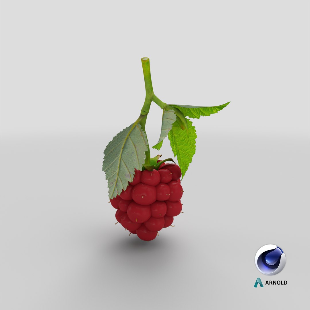 3D Ripe Berry Blackberry Leaves Model - TurboSquid 1380106