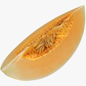 Golden Cantaloupe Slice 3D model