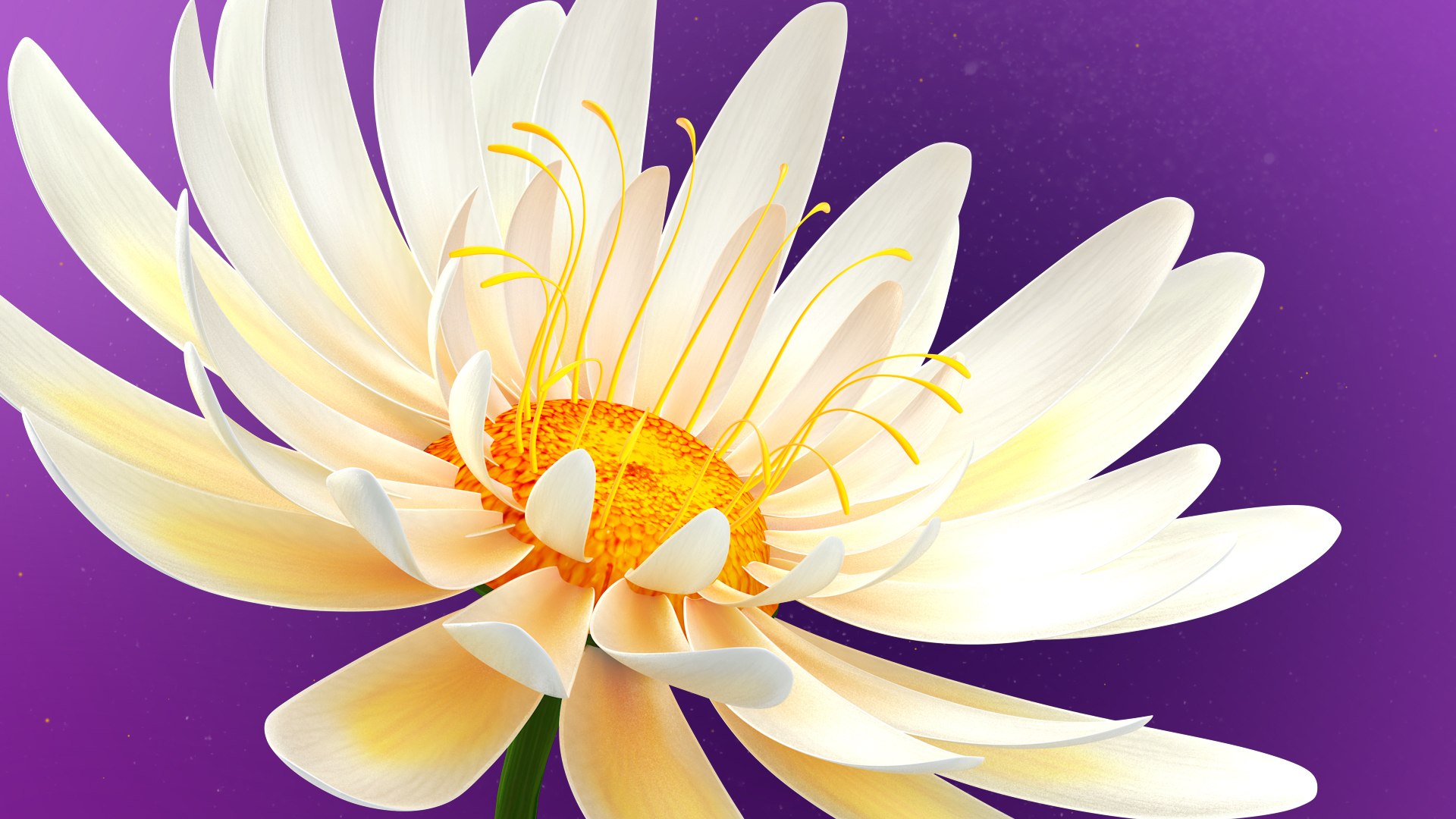 3D Beautiful Animated White Daisy Flower model https://p.turbosquid.com/ts-thumb/7D/mxTX1Z/If/frame_006/jpg/1678814151/1920x1080/fit_q87/4d3e92c476cc2190cc003053307552080127ee24/frame_006.jpg