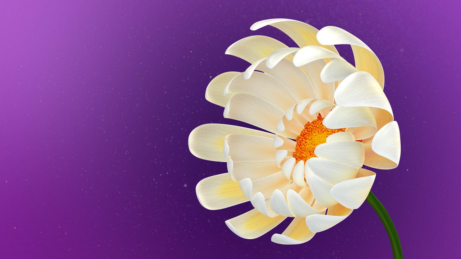 3D Beautiful Animated White Daisy Flower model https://p.turbosquid.com/ts-thumb/7D/mxTX1Z/WB/frame_002/jpg/1678814139/1920x1080/fit_q87/ebe4dc642c2dff20544b8a8a0dfbbceb08e3eaff/frame_002.jpg
