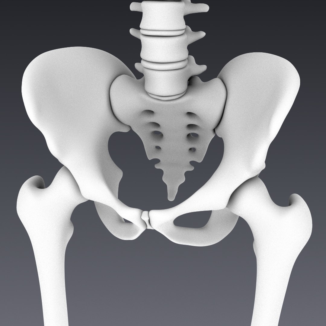 realistic human skeleton rigged 3d lwo https://p.turbosquid.com/ts-thumb/7D/o1QTm7/G0Kw1tNH/ambient0005/jpg/1454946709/1920x1080/fit_q87/67f7e7cdf77ade66477653c7c97c625ff9b4ef35/ambient0005.jpg