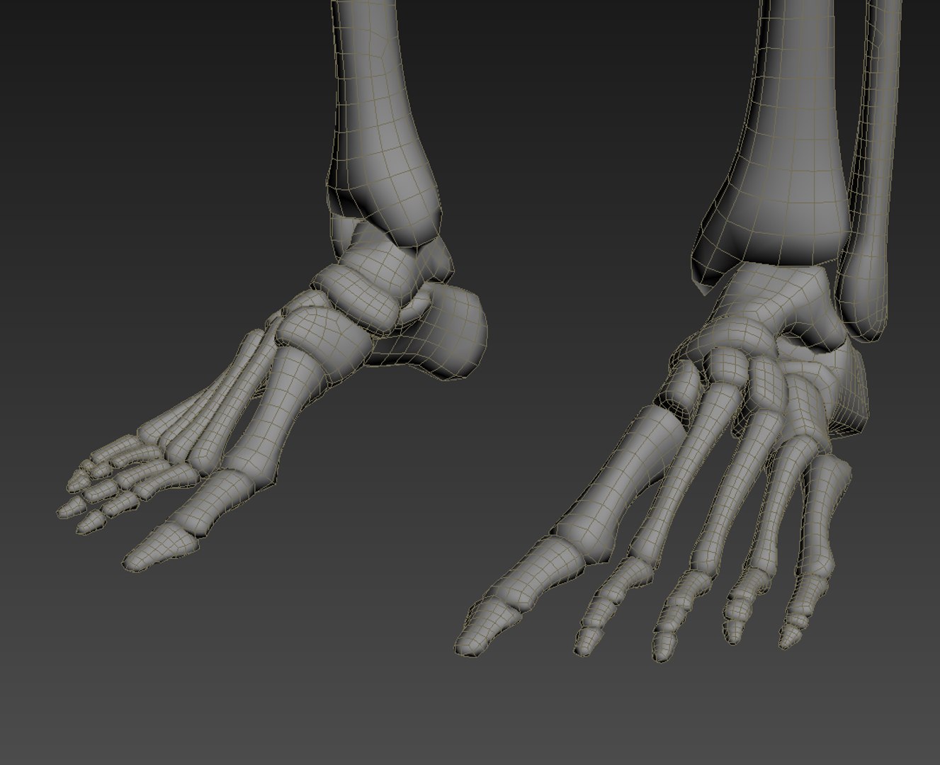 realistic human skeleton rigged 3d lwo