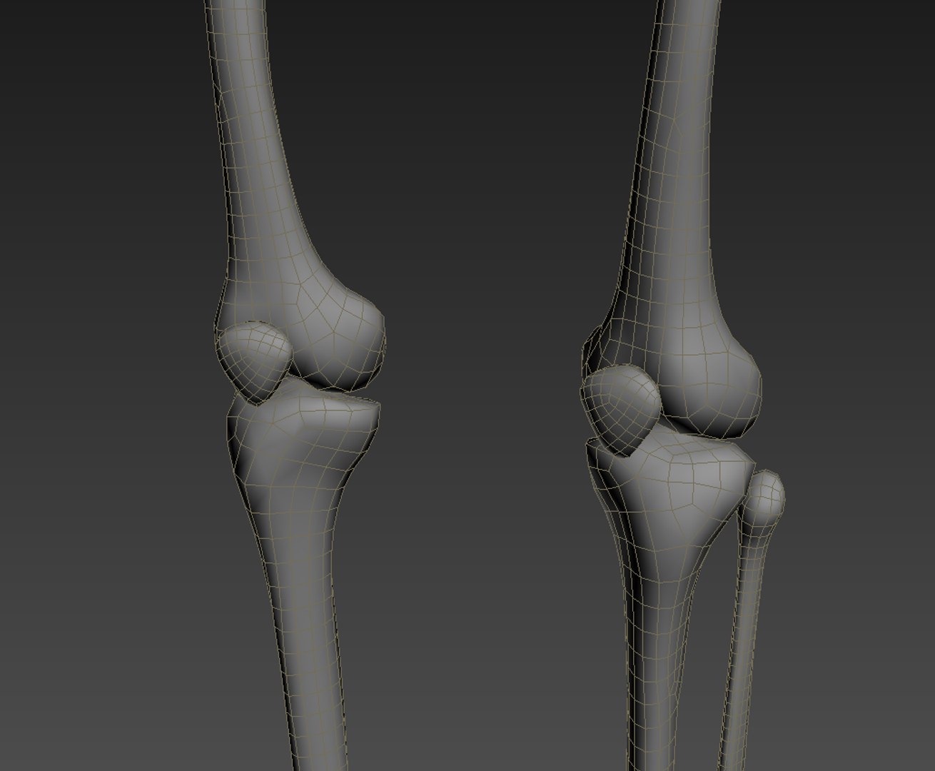 realistic human skeleton rigged 3d lwo