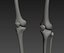 Human skeleton rigged. Animated readlistic vray scene and materials of human skeleton