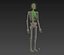 Human skeleton rigged. Animated readlistic vray scene and materials of human skeleton