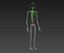 Human skeleton rigged. Animated readlistic vray scene and materials of human skeleton