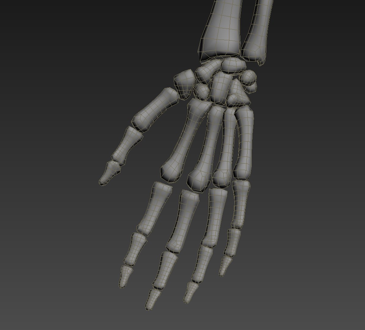 realistic human skeleton rigged 3d lwo https://p.turbosquid.com/ts-thumb/7D/o1QTm7/zUSPoFiw/wire4/png/1454946710/1920x1080/fit_q87/bb1fe28f2300a406ddc955981c4f2b2da33a2b3b/wire4.jpg
