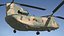 CH47 Chinook RAAF