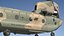 CH47 Chinook RAAF