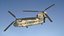 CH47 Chinook RAAF