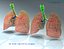 Realistic Lungs Animated