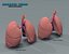 Realistic Lungs Animated