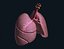 Realistic Lungs Animated