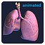 Realistic Lungs Animated