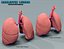 Realistic Lungs Animated