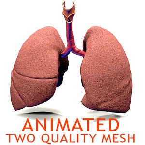 3ds lungs cycle