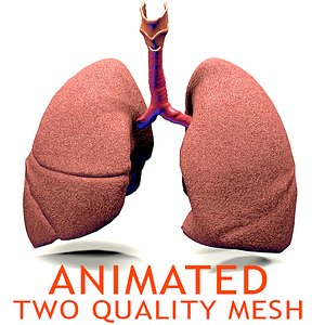 Realistic Lungs Animated