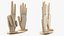 Wooden Hand Models Collection