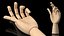 Wooden Hand Models Collection