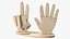Wooden Hand Models Collection