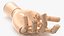 Wooden Hand Models Collection