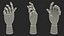 Wooden Hand Models Collection