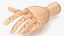 Wooden Hand Models Collection