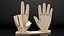 Wooden Hand Models Collection