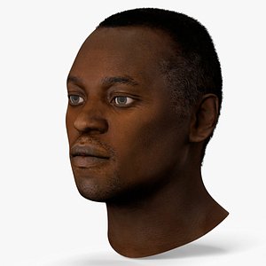 Middle Aged African Male Head Fur