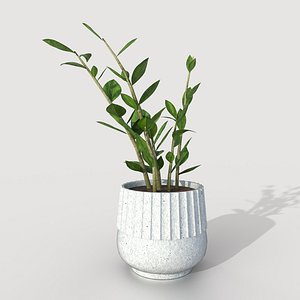 3D Indoor Plant