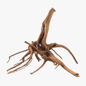 3D model tree root