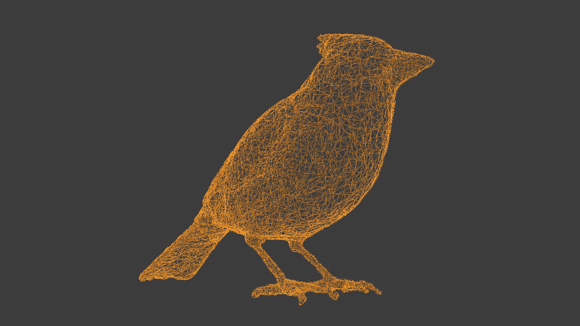 Northern Cardinal Bird 3D - TurboSquid 2269430