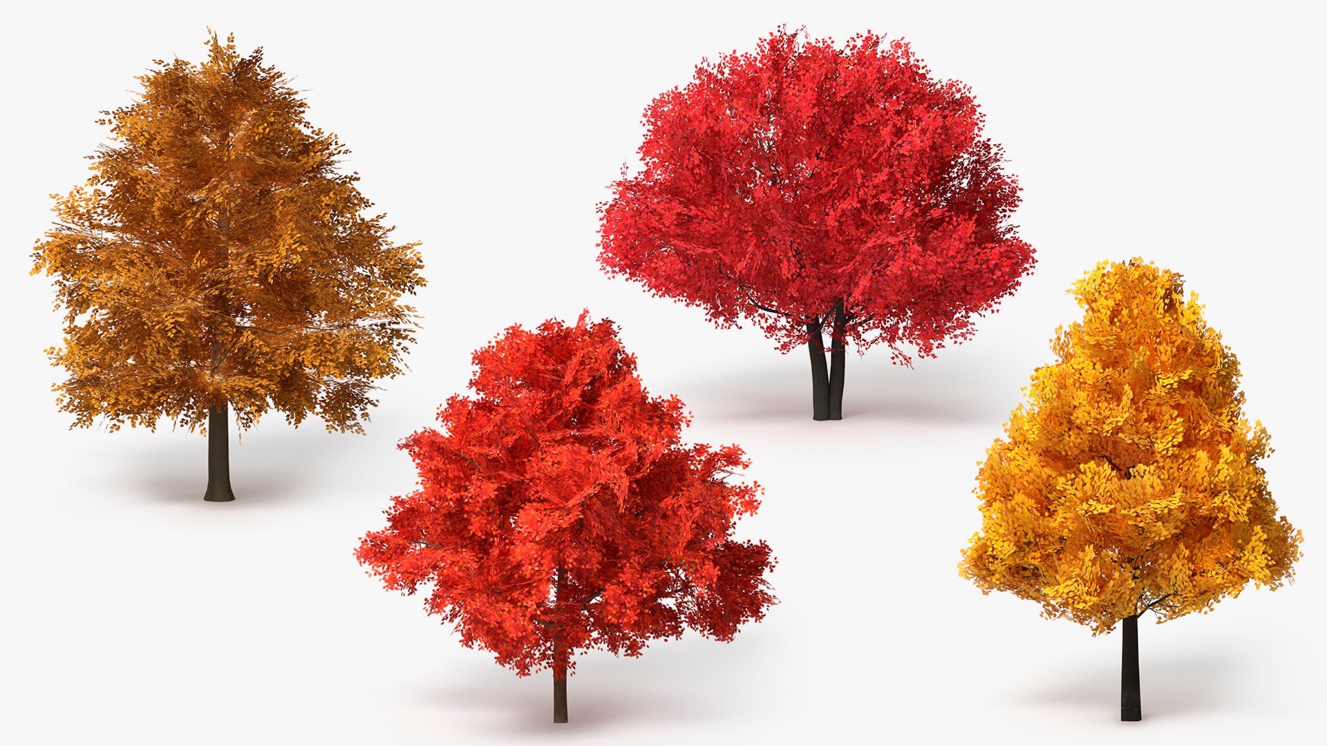 Realistic Lowpoly Autumn Tree Collection model https://p.turbosquid.com/ts-thumb/7F/6BeKRX/Ua/realistic_lowpoly_autumn_tree_collection_001/jpg/1766650754/1920x1080/fit_q87/7ec3a4158a7f43b078b5d2ddadc84239d07f12d3/realistic_lowpoly_autumn_tree_collection_001.jpg
