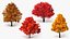 Realistic Lowpoly Autumn Tree Collection model