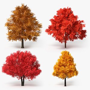 Realistic Lowpoly Autumn Tree Collection