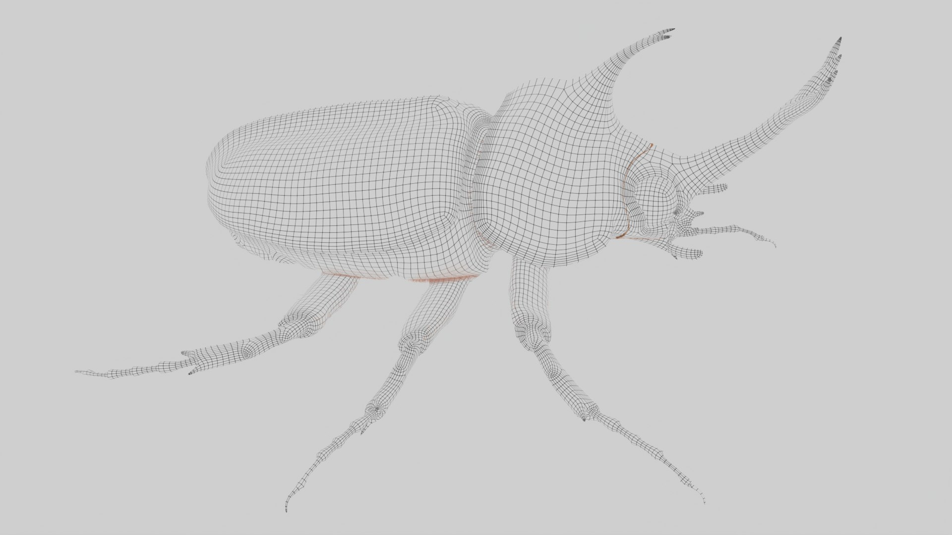 Rhinoceros Beetle 3D model https://p.turbosquid.com/ts-thumb/7F/6RCoQl/Ap/scarabee_wire.011/png/1699888423/1920x1080/fit_q87/ccb746d3b9bc2e8a2dc70eedc0b30054daffed64/scarabee_wire.011.jpg