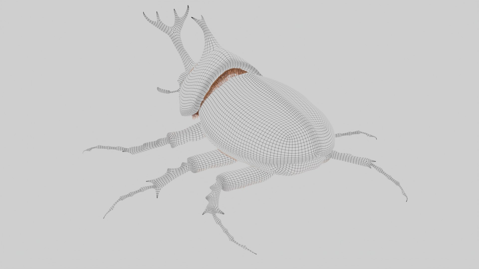 Rhinoceros Beetle 3D model https://p.turbosquid.com/ts-thumb/7F/6RCoQl/Cy/scarabee_wire.006/png/1699888420/1920x1080/fit_q87/9d358aa10ad7da8896e64cdb1f98717e7dc66117/scarabee_wire.006.jpg