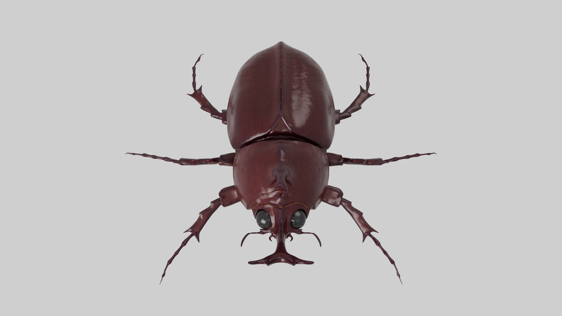 Rhinoceros Beetle 3D model https://p.turbosquid.com/ts-thumb/7F/6RCoQl/GL/scarabee_rendu.009/png/1699888396/1920x1080/fit_q87/18a62b49d7cffee13cffbb8360a5b1eeb5331184/scarabee_rendu.009.jpg