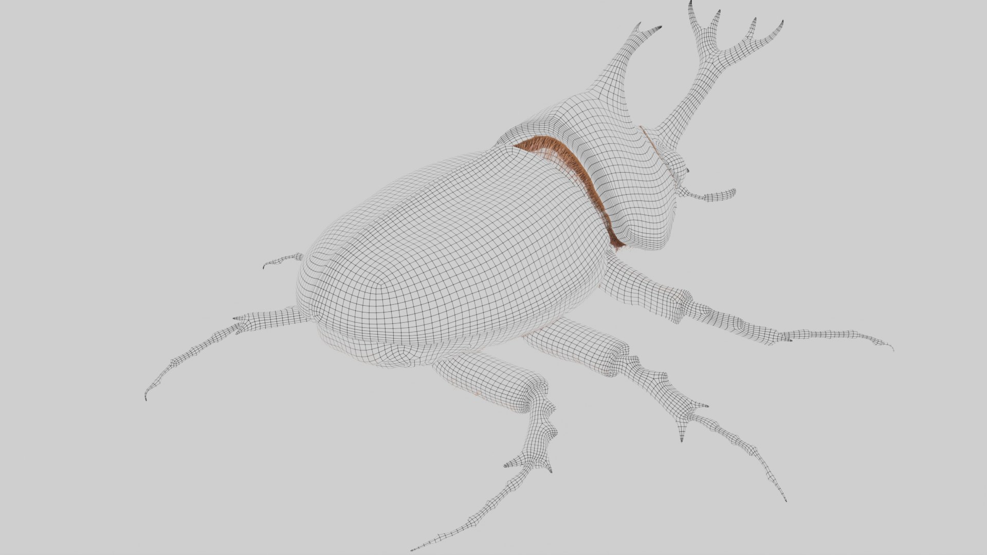 Rhinoceros Beetle 3D model https://p.turbosquid.com/ts-thumb/7F/6RCoQl/KD/scarabee_wire.004/png/1699888419/1920x1080/fit_q87/918d02610cabcf9df0426c30c9d9d83829b64edb/scarabee_wire.004.jpg