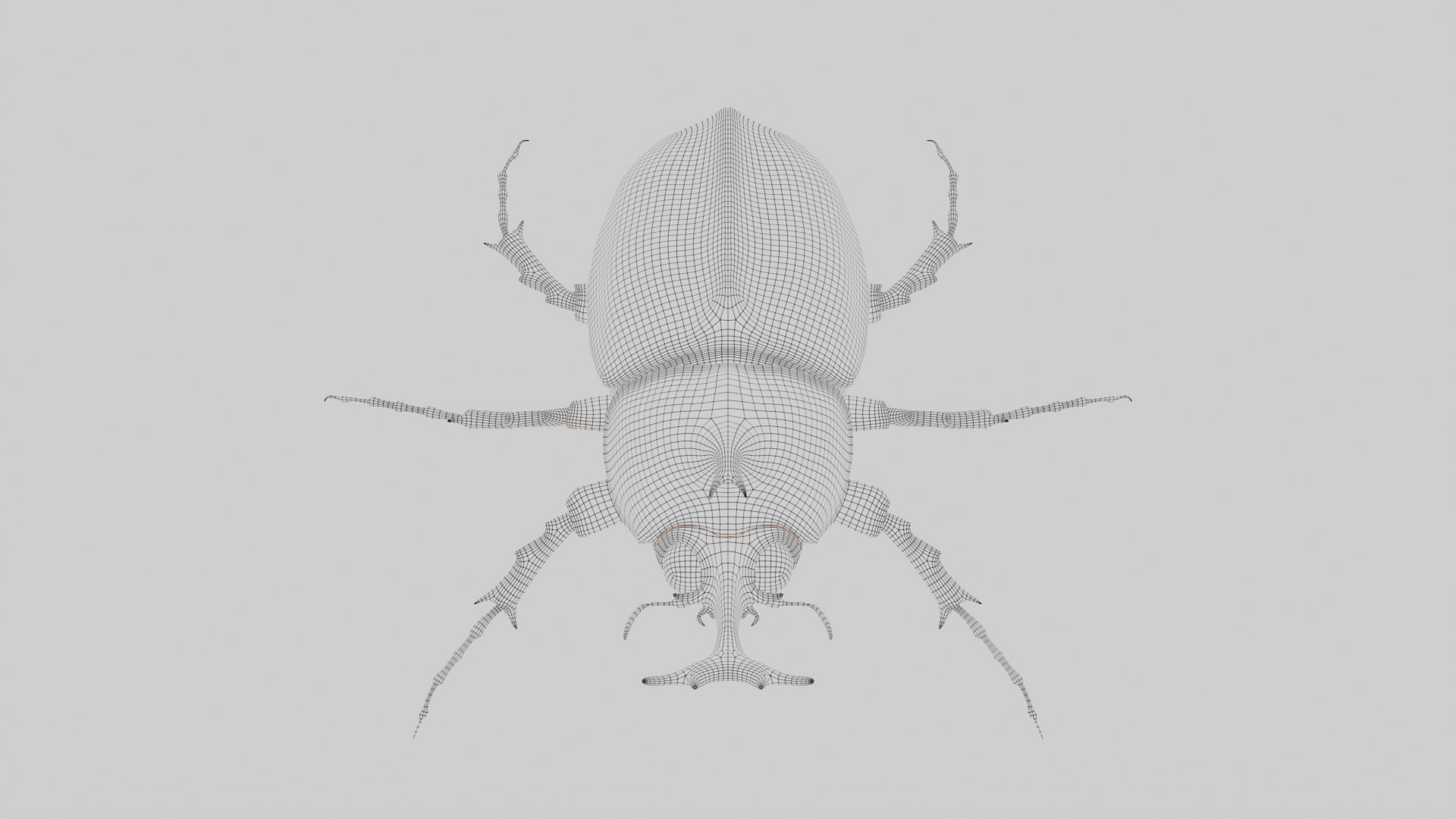 Rhinoceros Beetle 3D model https://p.turbosquid.com/ts-thumb/7F/6RCoQl/QQ/scarabee_wire.009/png/1699888422/1920x1080/fit_q87/8e79e434c86afec6ee10755718f2a81b182b8b5e/scarabee_wire.009.jpg