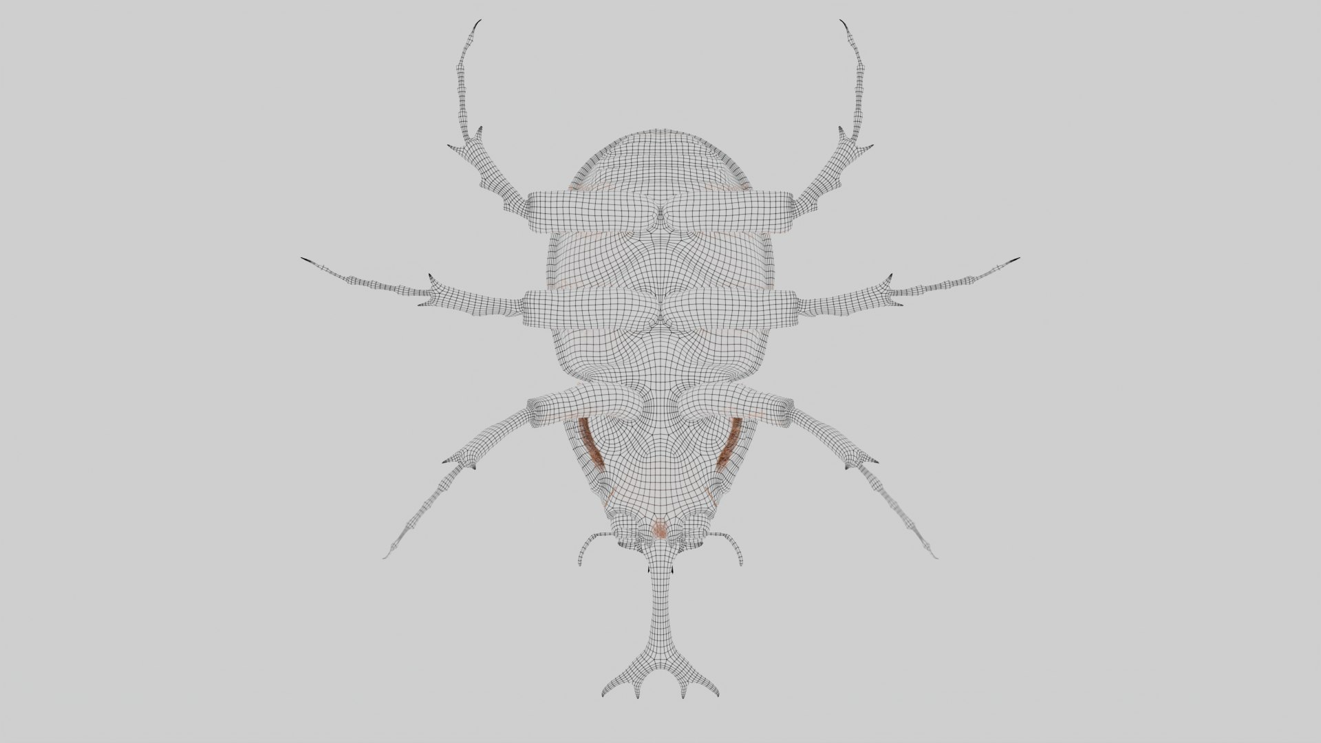 Rhinoceros Beetle 3D model https://p.turbosquid.com/ts-thumb/7F/6RCoQl/Qs/scarabee_wire.010/png/1699888422/1920x1080/fit_q87/c590e3fc7d5755ad9fcdbfc05983e2225fb318d8/scarabee_wire.010.jpg