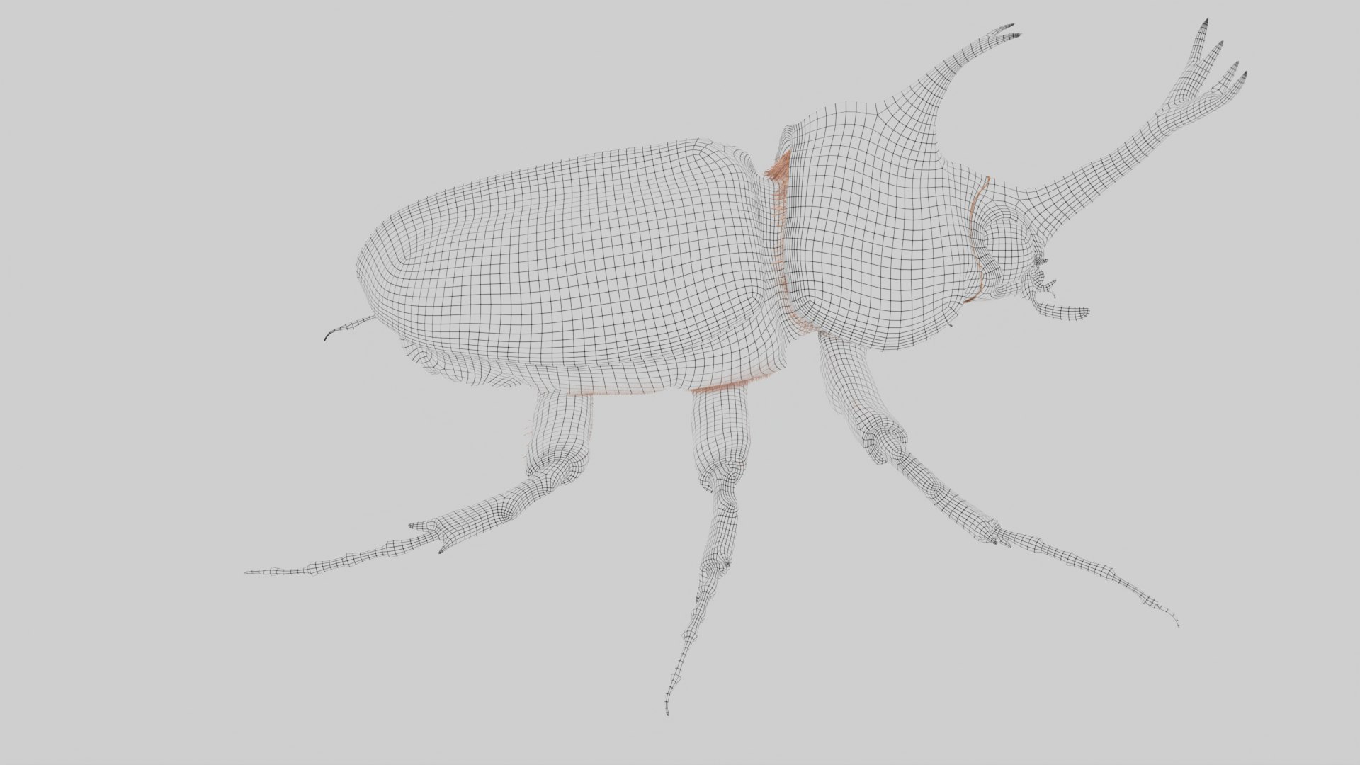 Rhinoceros Beetle 3D model https://p.turbosquid.com/ts-thumb/7F/6RCoQl/cy/scarabee_wire.003/png/1699888417/1920x1080/fit_q87/ef763222b9600bae0e113c00a317e79e9584b00d/scarabee_wire.003.jpg