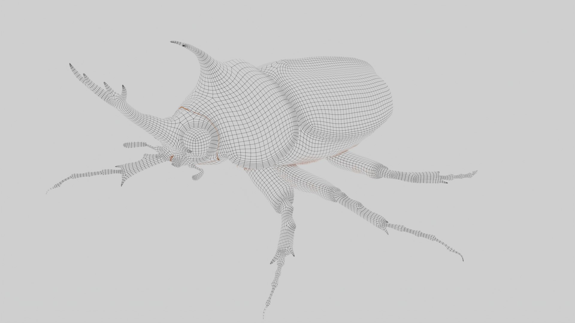 Rhinoceros Beetle 3D model https://p.turbosquid.com/ts-thumb/7F/6RCoQl/fe/scarabee_wire.008/png/1699888423/1920x1080/fit_q87/50cef177253ae009d94bd953b65d606da44b07ef/scarabee_wire.008.jpg