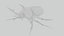 Rhinoceros Beetle