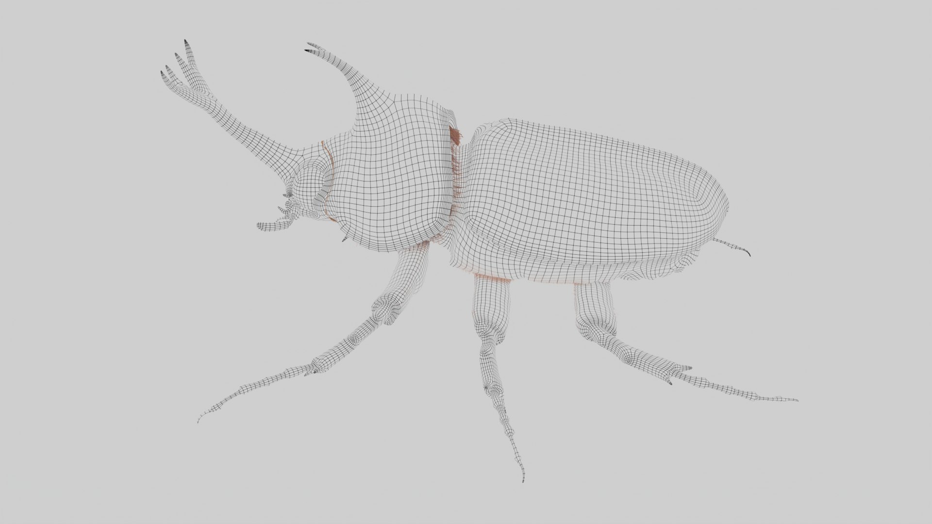 Rhinoceros Beetle 3D model https://p.turbosquid.com/ts-thumb/7F/6RCoQl/gx/scarabee_wire.007/png/1699888420/1920x1080/fit_q87/bd0efae224a870c3d47d4930f57513d403943ed5/scarabee_wire.007.jpg