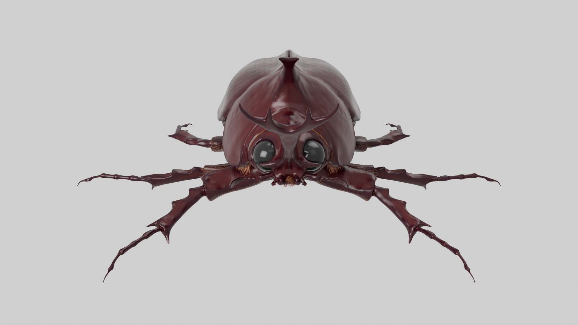 Rhinoceros Beetle 3D model https://p.turbosquid.com/ts-thumb/7F/6RCoQl/oN/scarabee_rendu.001/png/1699888386/1920x1080/fit_q87/edacd54e225db6dba614971a89634bd392dfe290/scarabee_rendu.001.jpg