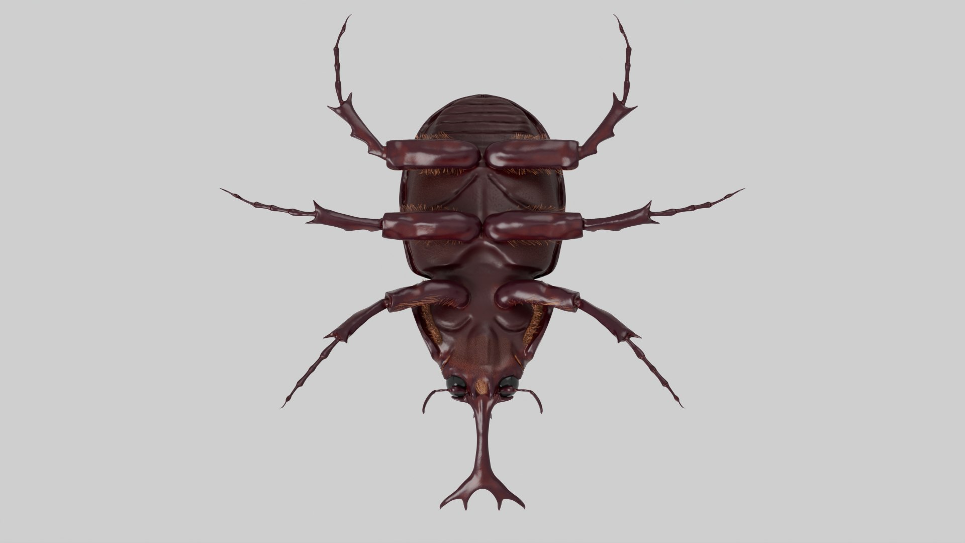 Rhinoceros Beetle 3D model https://p.turbosquid.com/ts-thumb/7F/6RCoQl/qB/scarabee_rendu.010/png/1699888399/1920x1080/fit_q87/1acbe710b44a551fa82e8e34412624c95e79363a/scarabee_rendu.010.jpg
