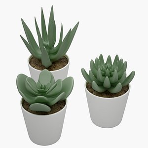 plant 3D model