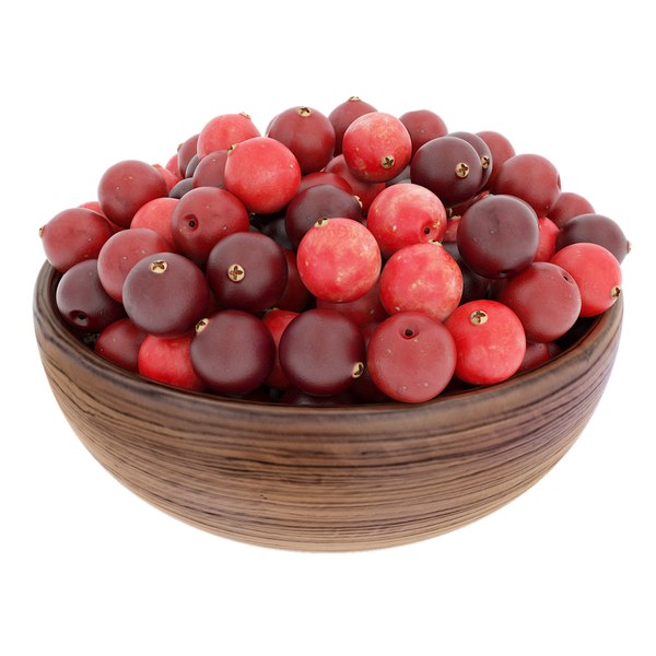 cranberry bowl 3d model