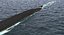 american military submarines rigged 3D model